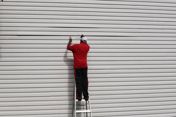 Best Fascia and Soffit Installation  in Cross Lanes, WV